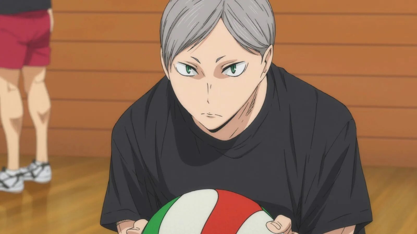 Львы про волейбол. Лев хайба. лев хайба волейбол.