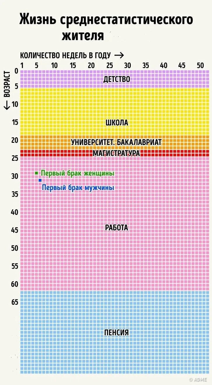 Таблица жизни в неделях 90 лет. Таблица жизни в неделях 80 лет. Календарь жизни. 90 Лет жизни в неделях. Жизнь в неделях 90