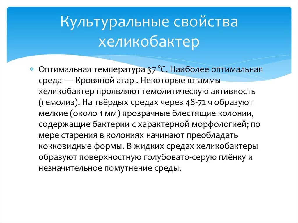 Хеликобактер пилори погибает. Свойства хеликобактер пилори. Хеликобактер пилори культуральные свойства. Хеликобактер биохимические свойства. Helicobacter pylori культуральные свойства.