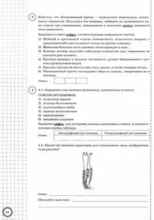 Впр шариков 7 класс