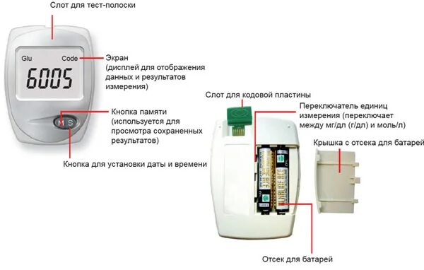 Как измерить холестерин в крови в домашних