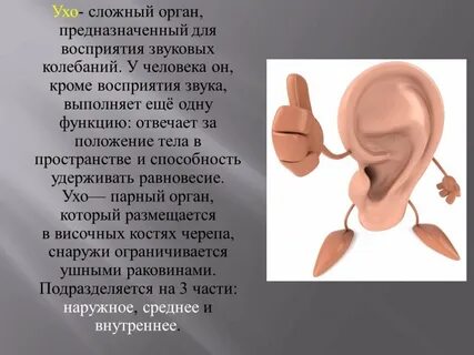 Ухо человека способно воспринимать как музыкальный тон