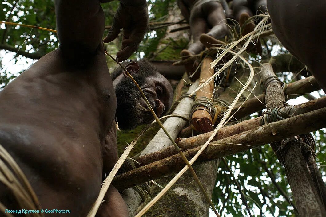 Новая Гвинея. Племя КОРОВАИ. Племя КОРОВАИ из Папуа. КОРОВАИ племя живущее на деревьях. Племена которые живут на деревьях. Люди живущие на деревьях