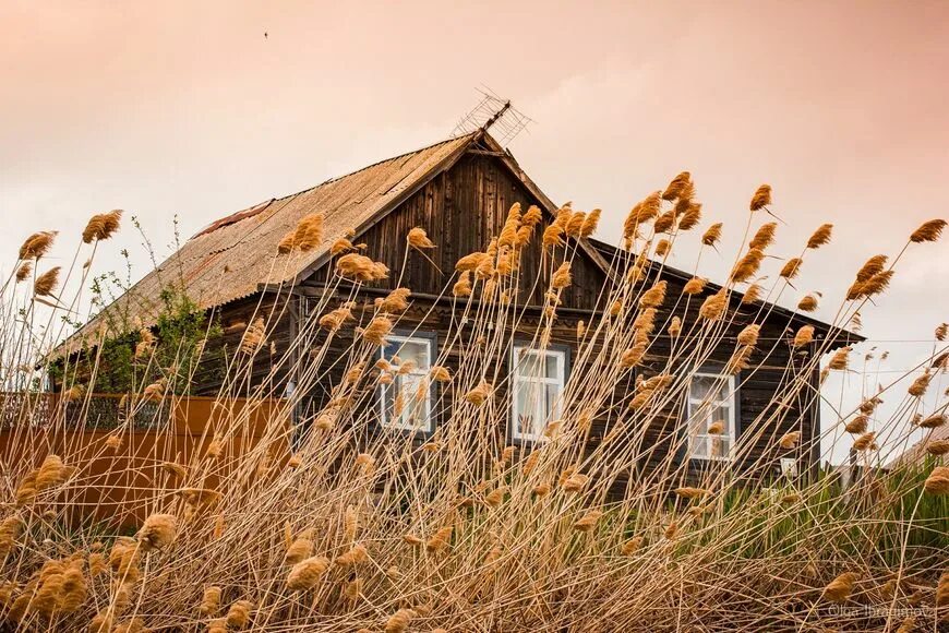российская деревня. деревня елемка. деревни россии. лето у бабушки в деревне. удиви деревни.