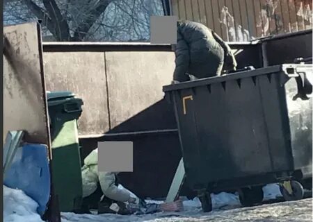 Кто рылся в мусорном ведре