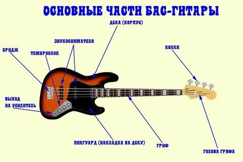 Сколько струн у гитары
