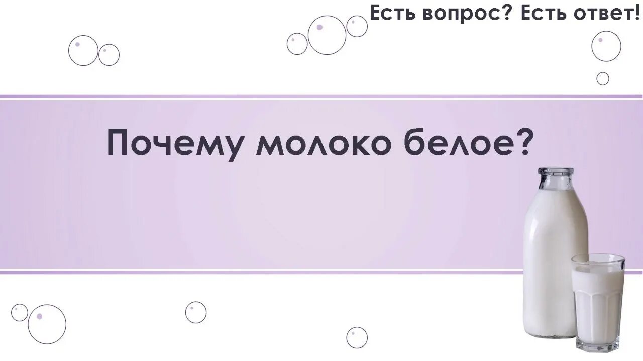 Почему любят молоко. Почему молоко белое. Почему молоко белого цвета. Почему коровье молоко белое. Почему молоко белое вопрос.