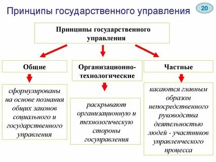 Функции государственного управления их виды