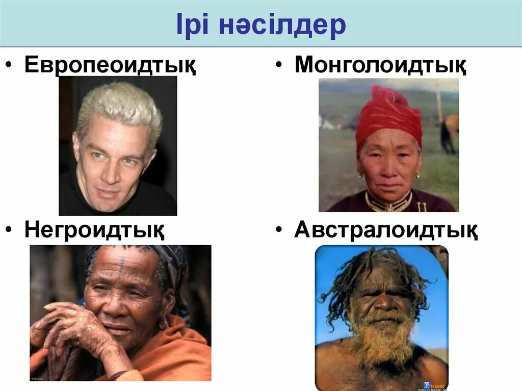 Монголоиды, негроиды, Европеоиды и австралоиды. Монголоидов- европеоидная раса. Расы: европеоидную, монголоидную, негроидную и австралоидную..