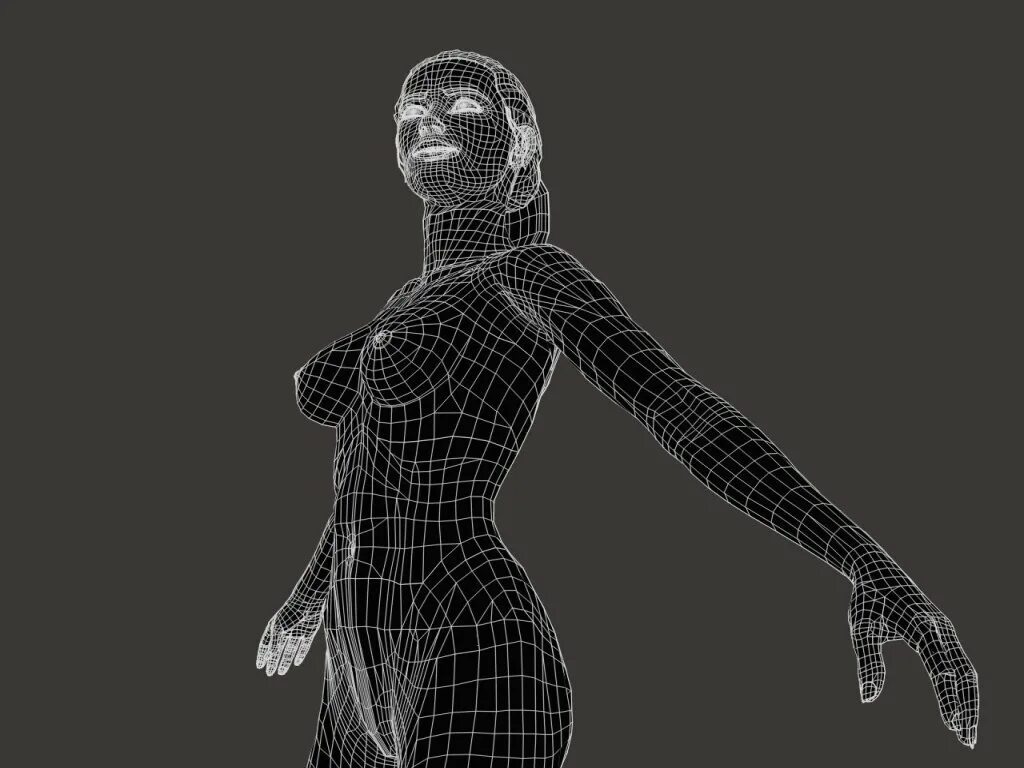 Сетчатое тело. Компьютерная модель девушки. Трехмерная Графика. Женское тело в компьютерной графике.