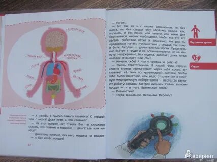 Так устроен человек песня