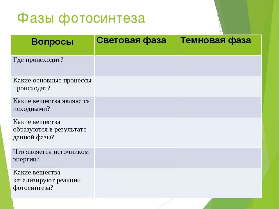 Световая и темновая таблица. Световая фаза и темновая фаза. Этапы процесса фотосинтеза. Характеристика фаз фотосинтеза. Световая фаза фотосинтеза.