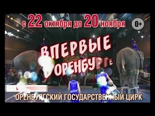 Цирк оренбург 2024