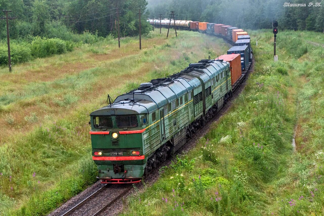 2тэ116м. 2тэ116у RAILGALLERY. 2тэ116-1495. 2тэ116-1743.