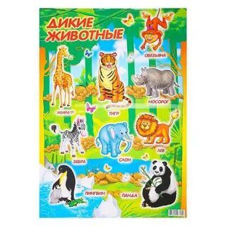 Плакат животных