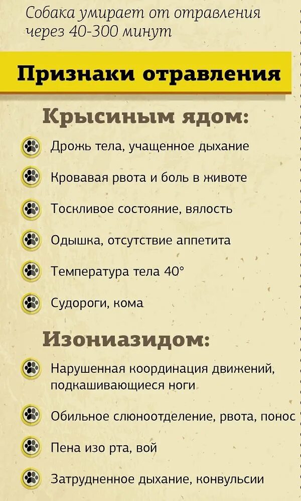 Симптомы отравления у собак. Симптомы отравления крысиным ядом. Симптомы отравления крысиным ядом у собак. При отравлении крысиным ядом. Симптомы отравления щенков крысиным ядом.