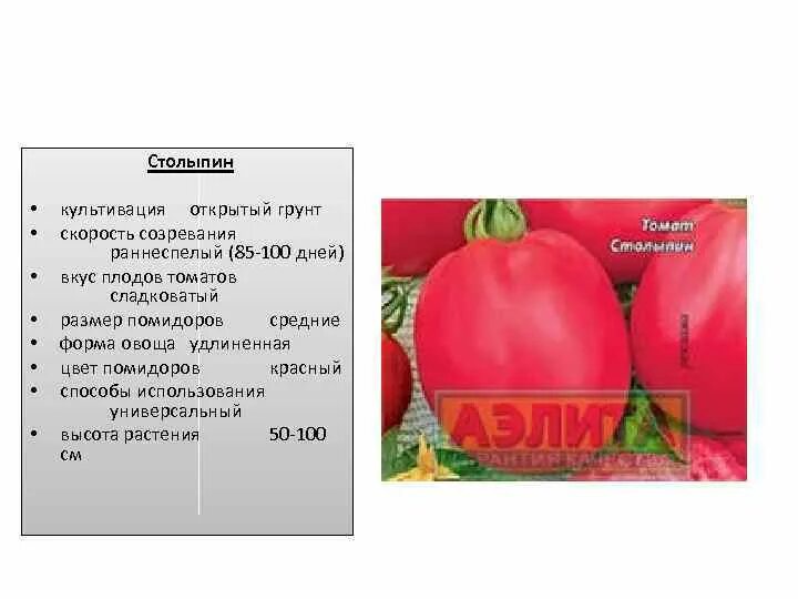 Семена томат Столыпин. Томат Столыпин характеристика. Столыпин сорт томатов. Сорт помидор Столыпин описание сорта.