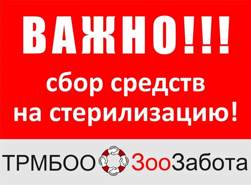 Родители отправили дочь на стерилизацию. Помощь в оплате стерилизации. Нужна помощь в стерилизации. Срочный сбор на стерилизацию. Помогите собрать на стерилизацию.