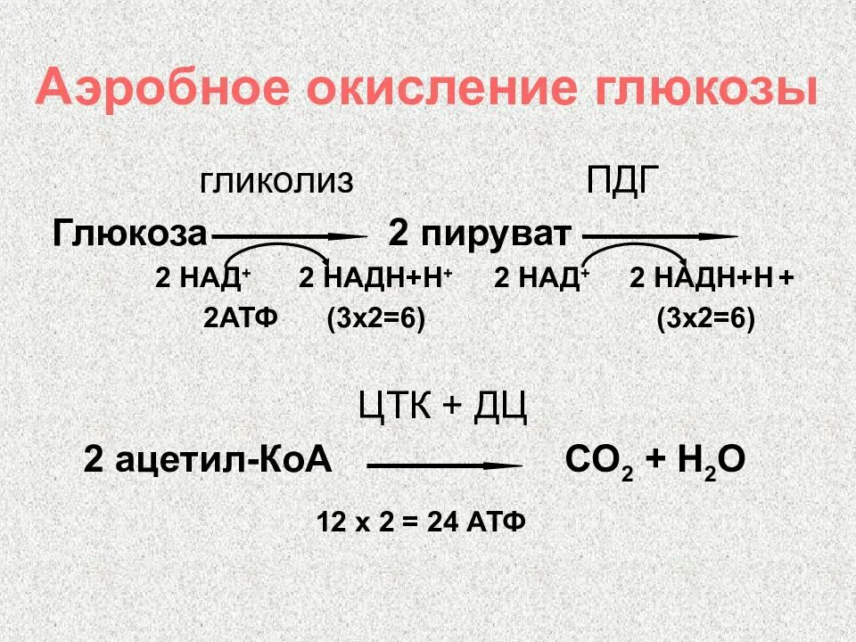 2 моль атф. Регуляция аэробного дихотомического окисления Глюкозы. Реакции окисления Глюкозы о2. Аэробный катаболизм Глюкозы до со2 и н2о невозможен. Аэробный гликолиз схема реакций.