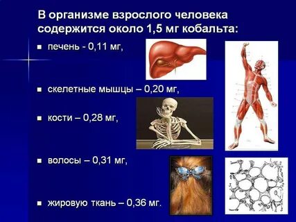 Роль кобальта в организме человека