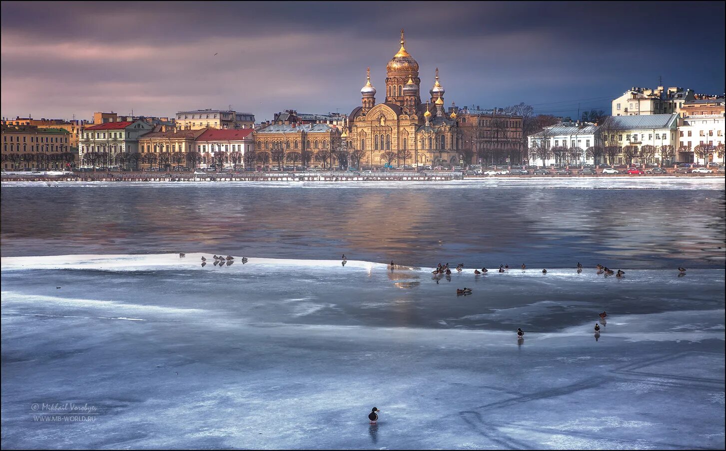 Спб январь. Санкт-Петербург зима. Питер зимой. Санкт-Петербург в январе. Белая ночь зимой.