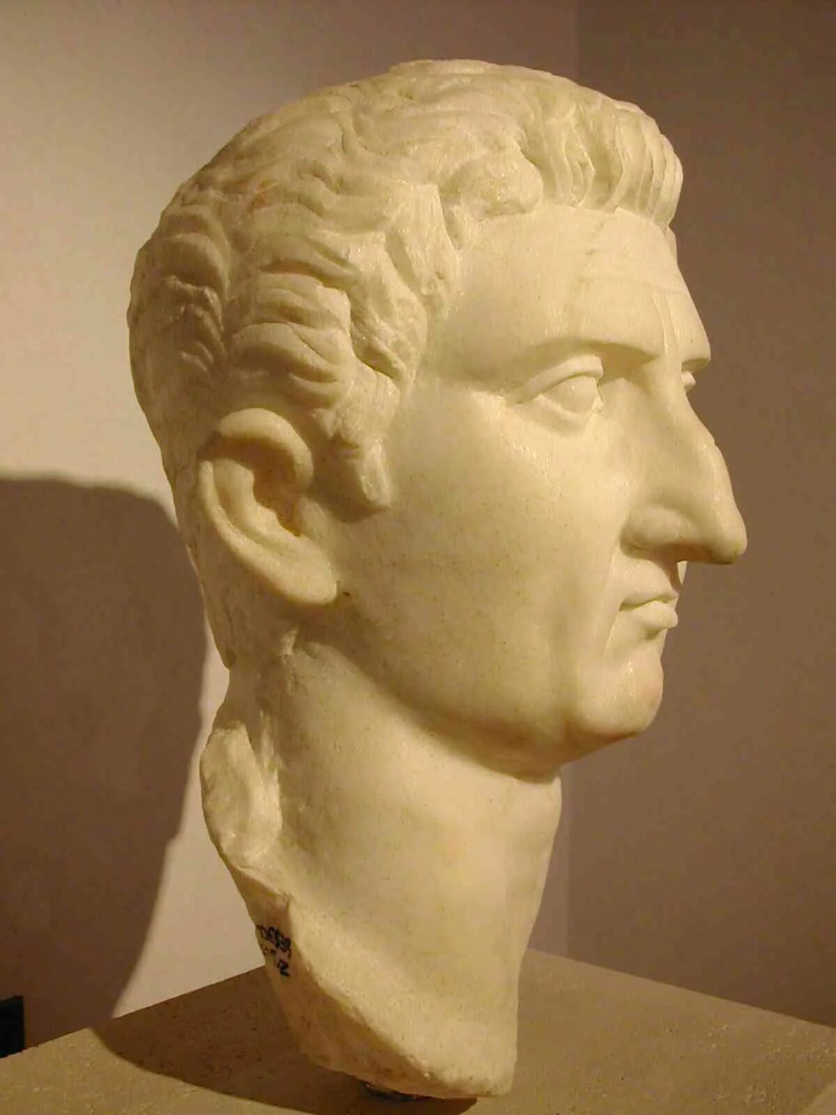 Нос в древности. Римский нос греческий нос. Нос с горбинкой Римский профиль.