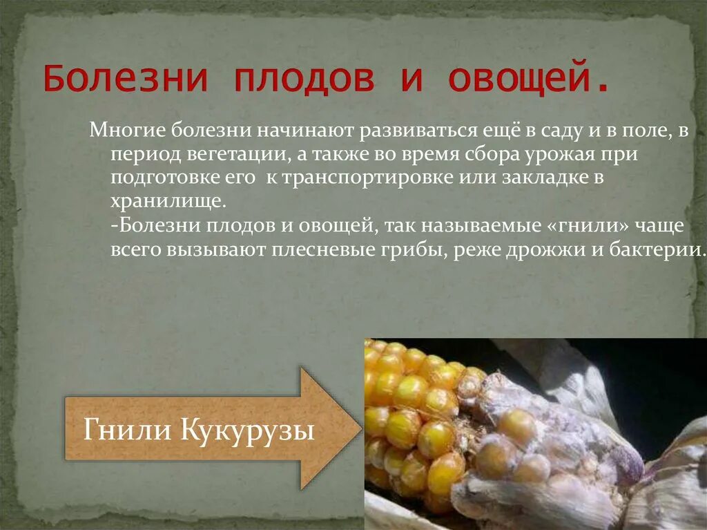 Грибы вызывающие порчу продуктов питания. Болезни и повреждения свежих плодов и овощей. Болезни плодов и овощей Товароведение. Дефекты плодов и овощей.