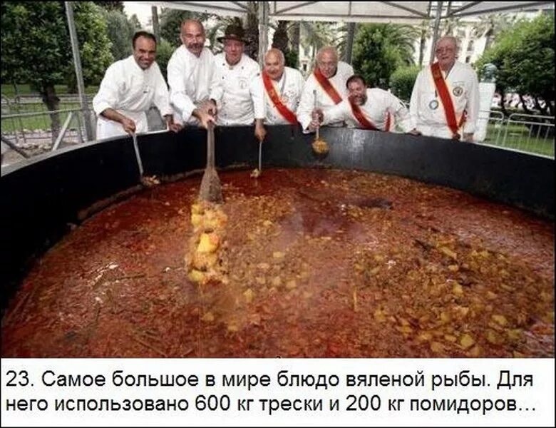 Окаменелая какашка викинга. Гонконг памятник какашке. Самая какашка в мире. Памятник собачьим какашкам в гонконге. Самая какашка в мире.