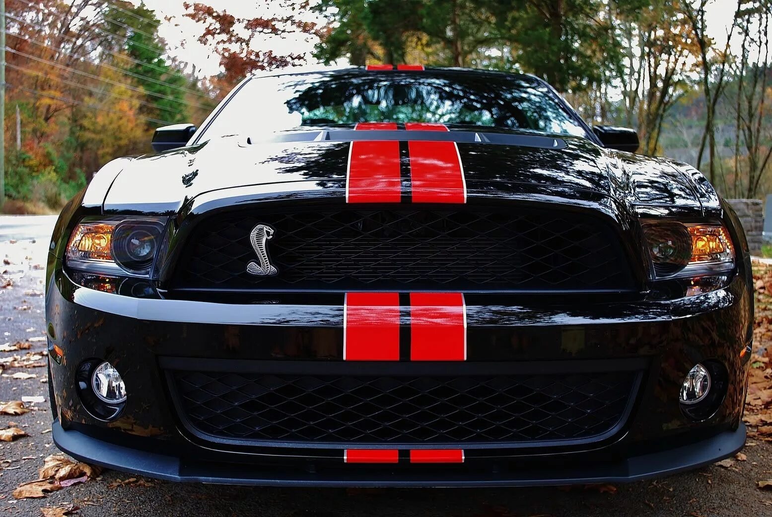Форд мустанг gt 500 красный. Мустанг черно красный. Мустанг gt 2005 черный. Мустанг блэк раша. Мустанг черно красный.