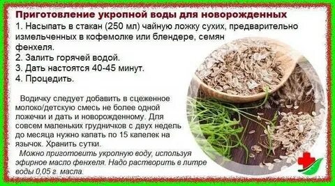 Семена укропа при беременности