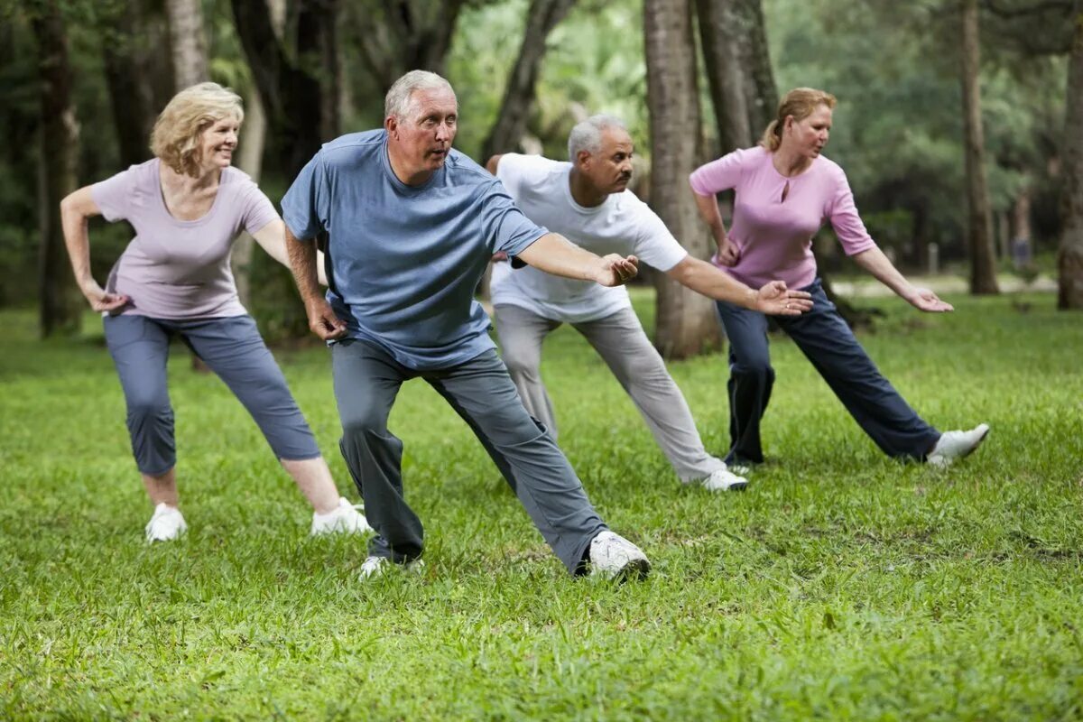 Упражнения для группы людей. Физкультура для пожилых. Физический. Зарядка для пожилых людей. Занятия спортом на свежем воздухе.