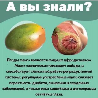 Польза манго и вред для организма человека