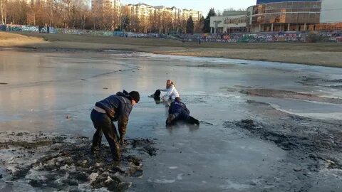 Девушка провалилась под