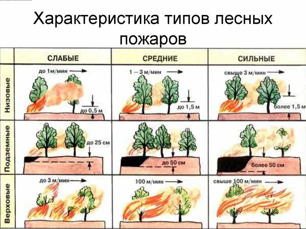 Классификация природных пожаров схема. Классификация лесных и торфяных пожаров ОБЖ 7. Классификация природных пожаров по площади. Классификация лесных и торфяных пожаров по силе.