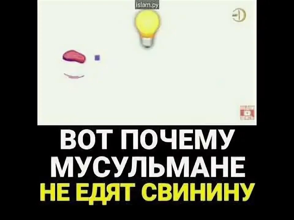 Почему мусульмански нельзя