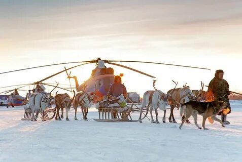 Жизнь народов коренных малочисленных народов севера