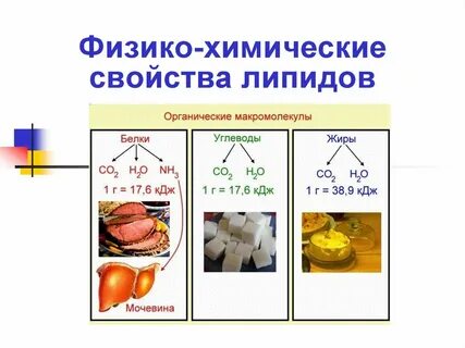 Жиры кдж