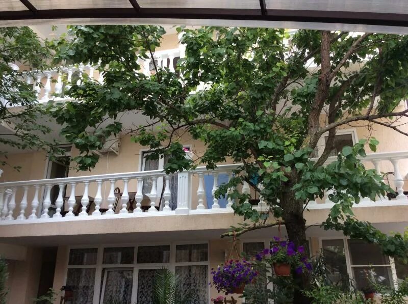 приветливая 4