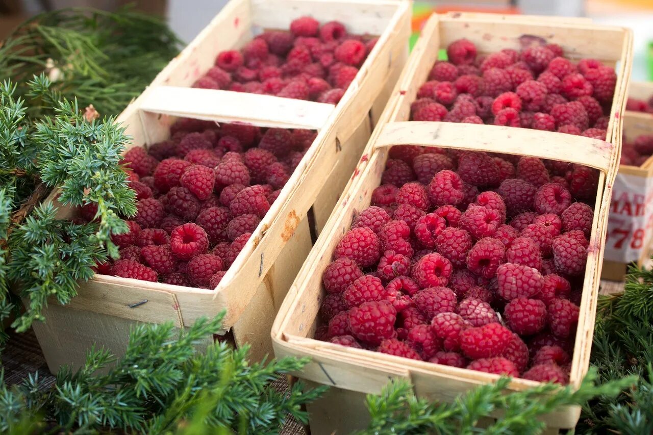 коробка с малиной. килограмм малины. пластмассовая малина. коробка малины 9 кг. малина в деревянном ящике.