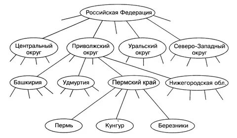 Пример системы дерева