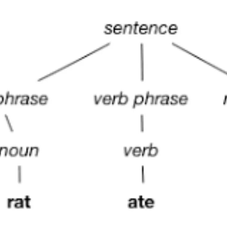 Parsed db