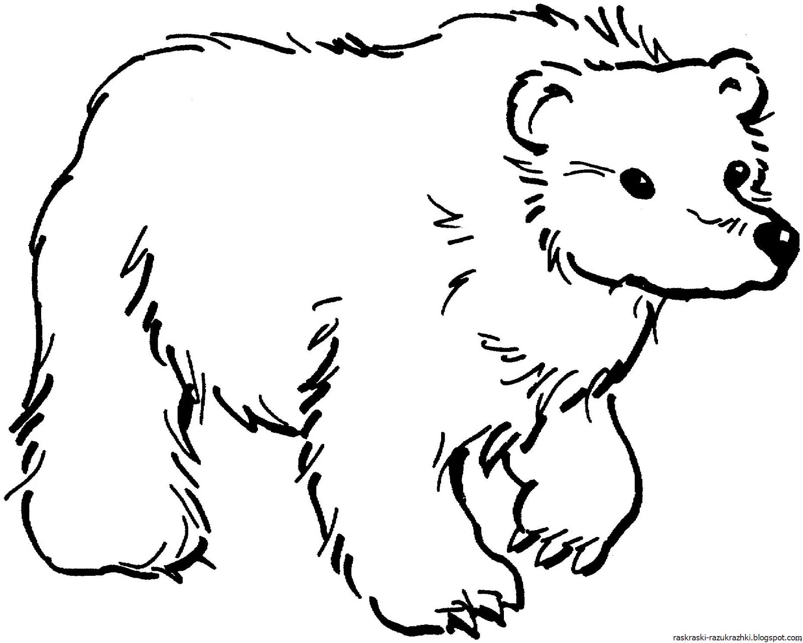 Раскраска медведь для детей 2 3 лет. Медведь раскраска. Раскраска. Медвежонок. Медвежонок раскраска для детей. Медведь картинка для детей раскраска.