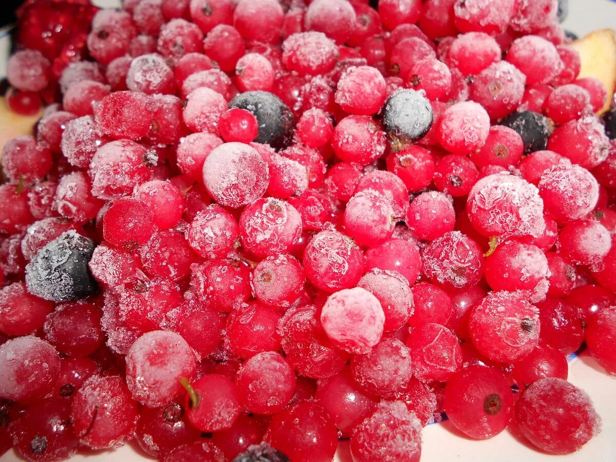 Полезные заморозки. Замороженные ягоды. Морозные ягоды. Ягода свежемороженая. Быстрозамороженные ягоды.
