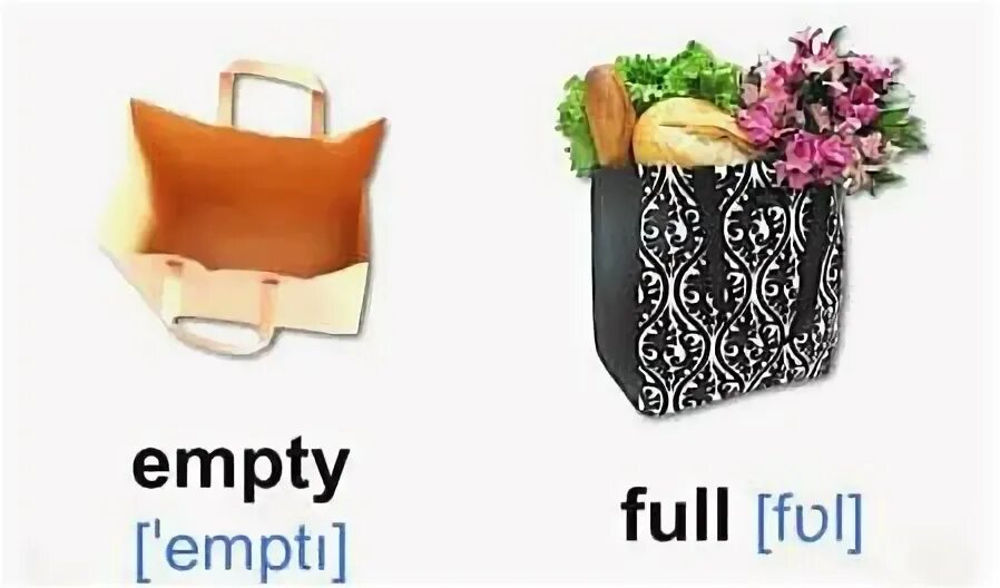 Empty words. Empty full. full empty box opposites.