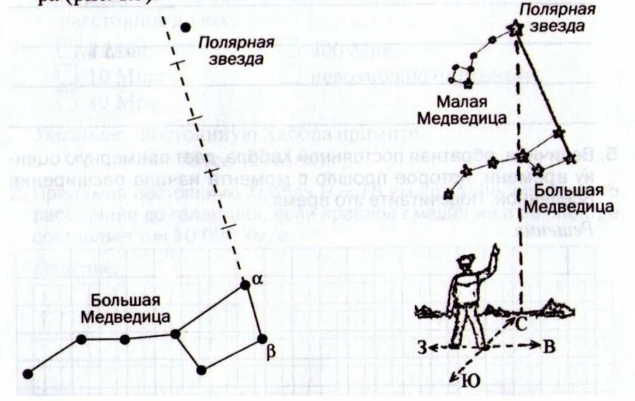 Ковш большой медведицы и Полярная звезда. Полярная звезда в созвездии малой медведицы. Созвездие ковш большой медведицы осенью. Расположение ковша большой медведицы зимой. Ковш большой медведицы весной