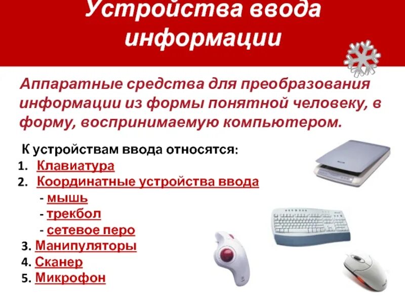 Мышь относится к устройствам ввода графической информации. Устройства ввода. устройства ввода и вывода информации. аппаратные средства ввода информации. координатные устройства ввода информации в компьютер.