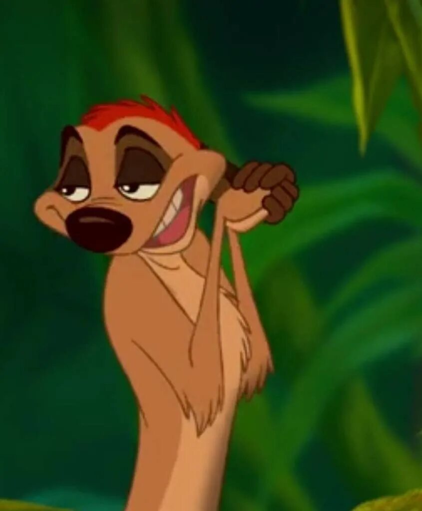 Timon rdd. Timon rdd