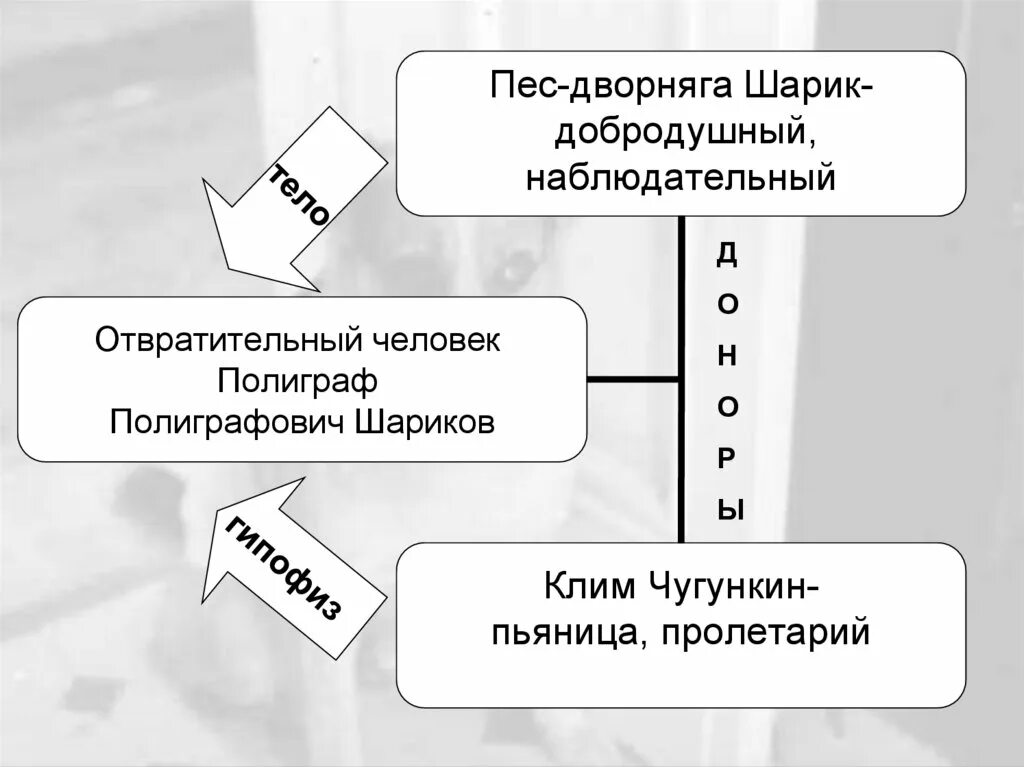 Собачье сердце тест 9 класс с ответами. Собачье сердце схема. Система образов Собачье сердце. Кластер Собачье сердце. Схема произведения Собачье сердце.