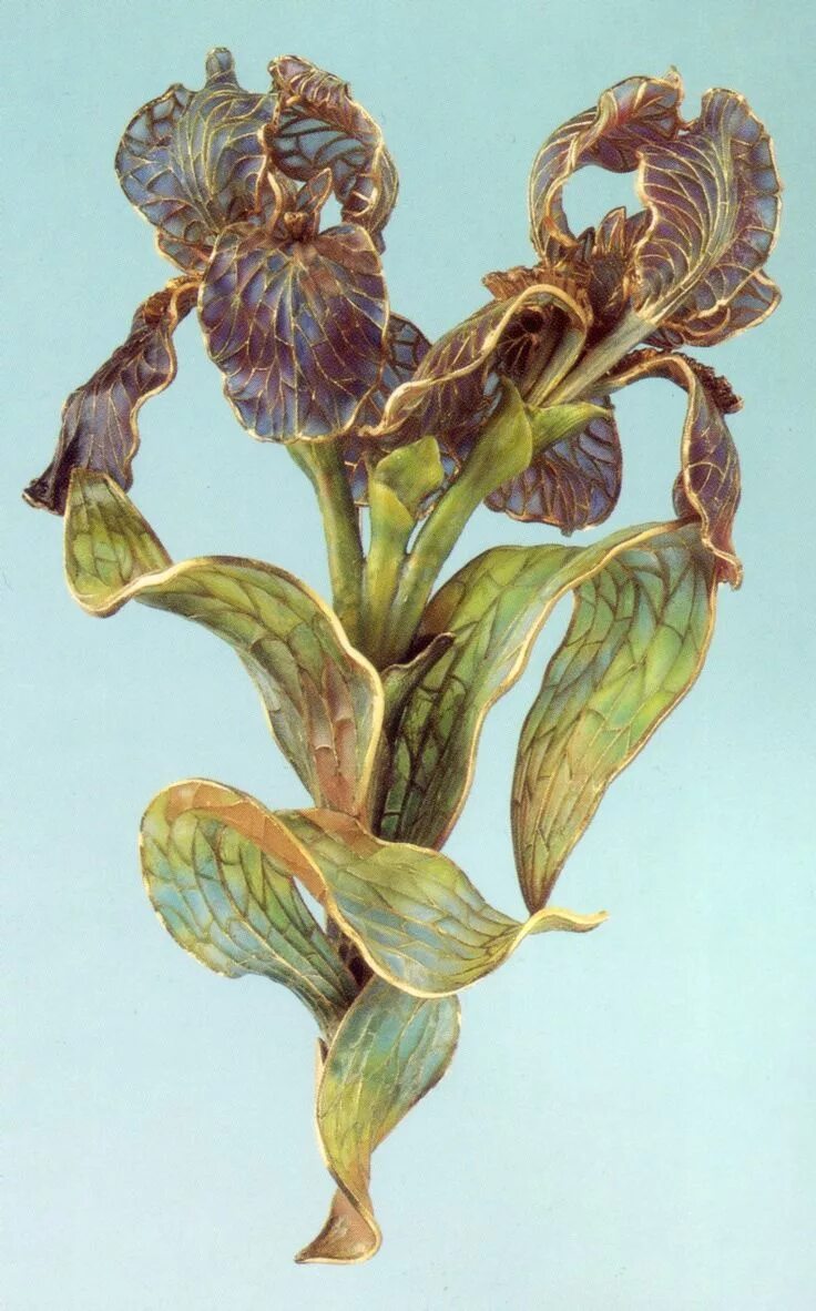 рене лалик орхидея. орнамент арт нуво модерн ирис. ар нуво орнамент. рене лалик анютины глазки. орхидея в модерне.