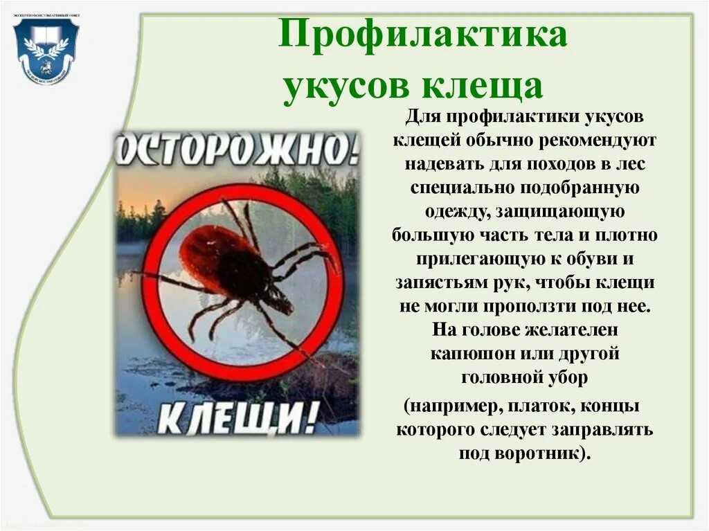 Профилактика укуса клеща. Осторожно клещи. Профилактика укусов клещей. Профилактика присасывания клещей. Профилактика после укуса